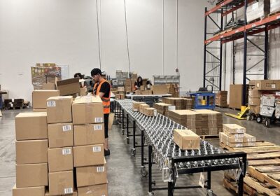 Warehouse workers sorting cardboard boxes, next to a conveyor belt.